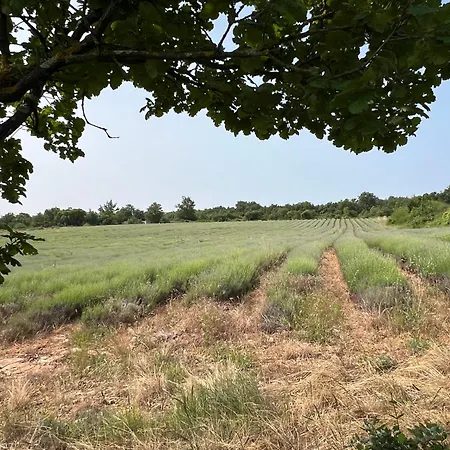 Tipi Au Murmure Du Champs Glamping Montclus (Gard)